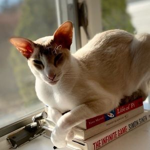 Meet your Posher, Deniz